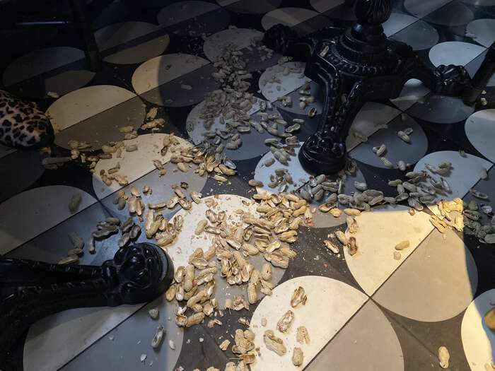 Empty peanut shells strewn all over the floor