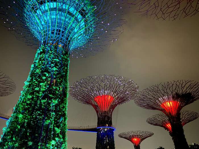 Five Supertrees, lit up in green and red