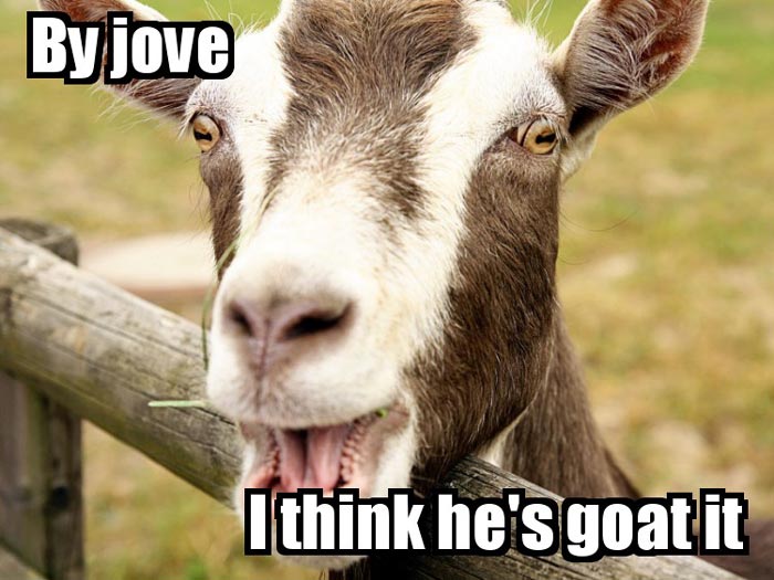 By jove, I think he’s GOAT it