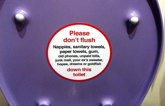 Sticker on underside of toilet seat, advising you not to flush hopes, dreams, or goldfish down the toilet